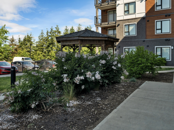 Oceanview Apartments