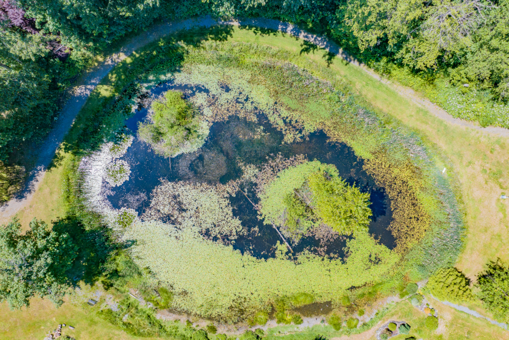 3042 River Road (52)