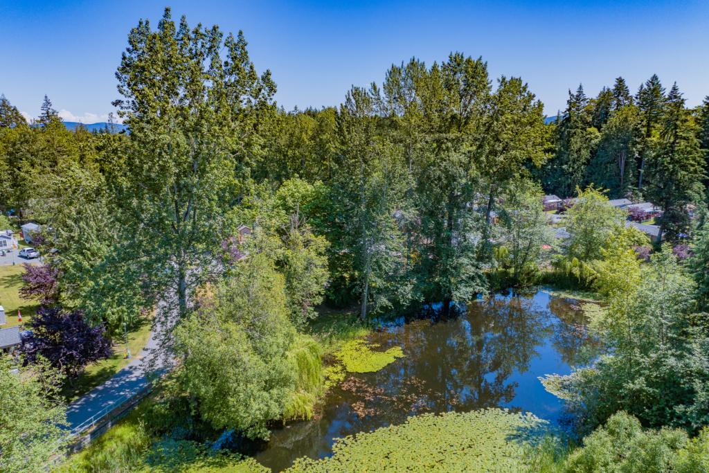3042 River Road (55)