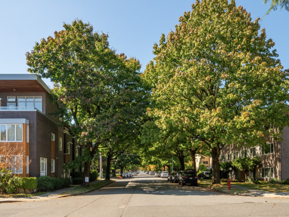 Tiffany Court