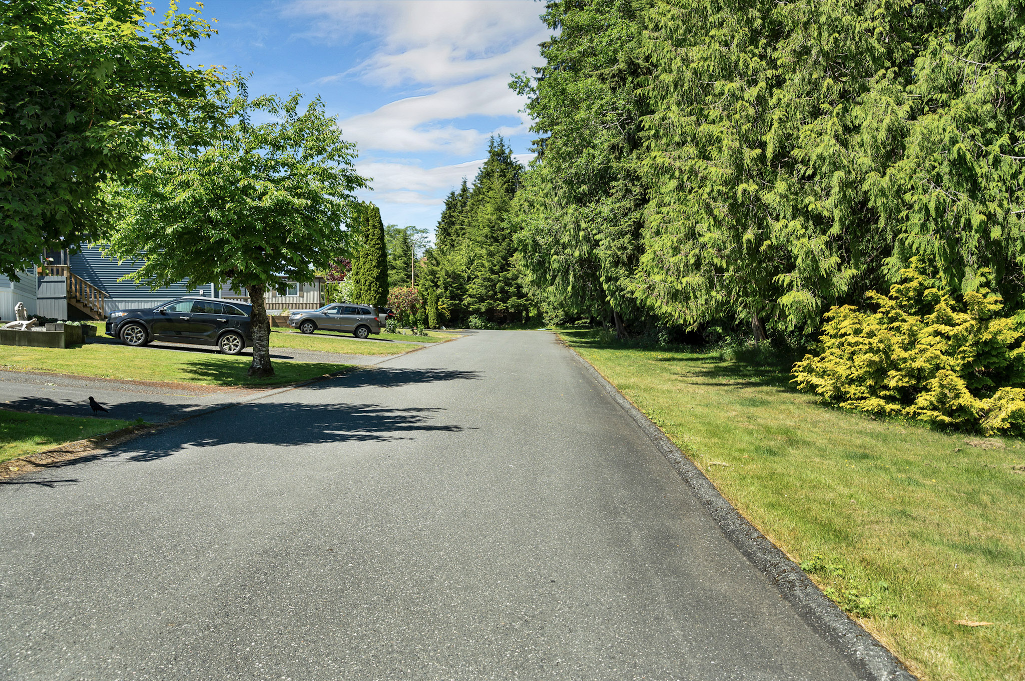 26-DSC_6291 Highview Estates Mobile Home Park